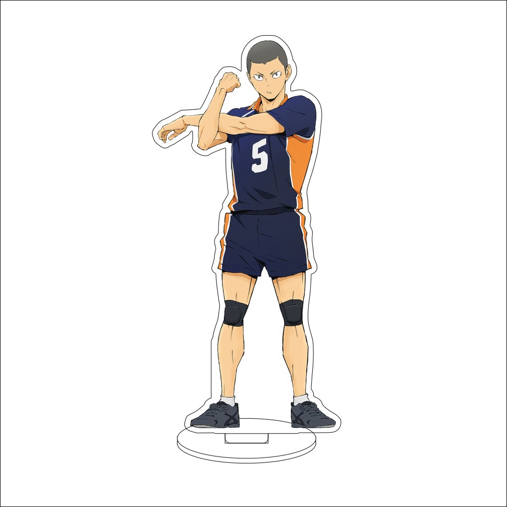 16CM Anime Haikyuu Sugawara Kō - Anime Merchandise Accessories recensie en prijs